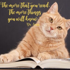 heart-warming romance book
