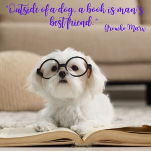 humorous summer romance